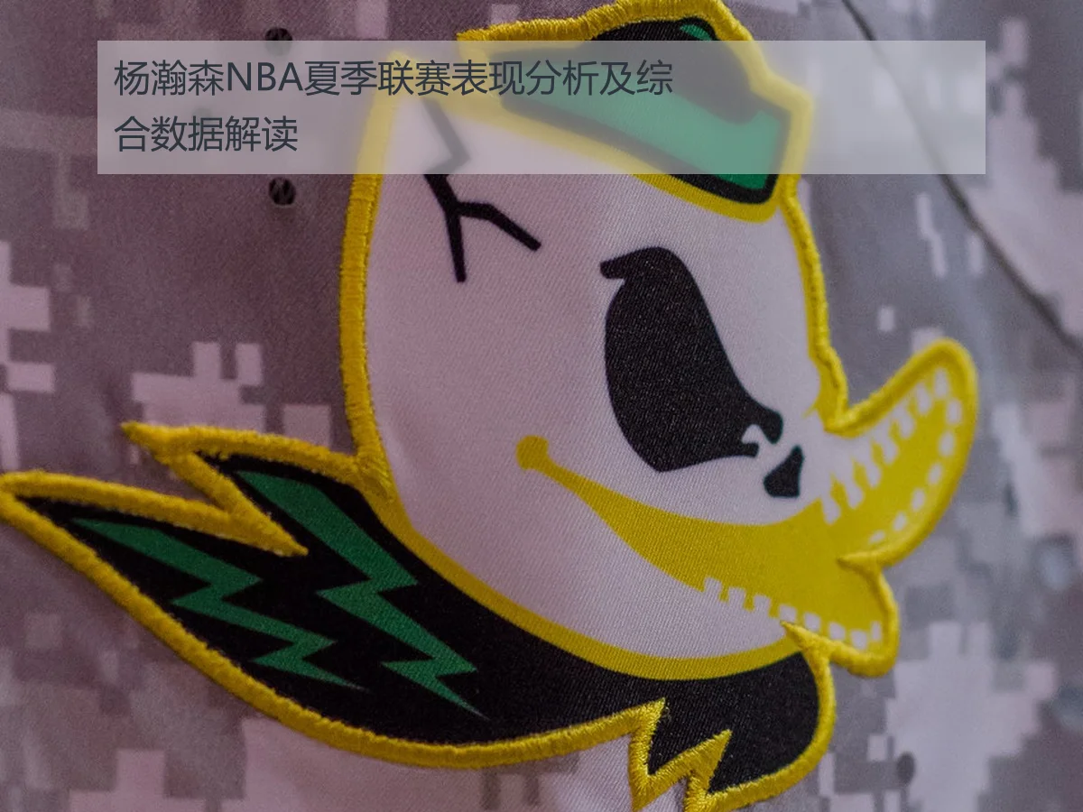 杨瀚森NBA夏季联赛表现分析及综合数据解读