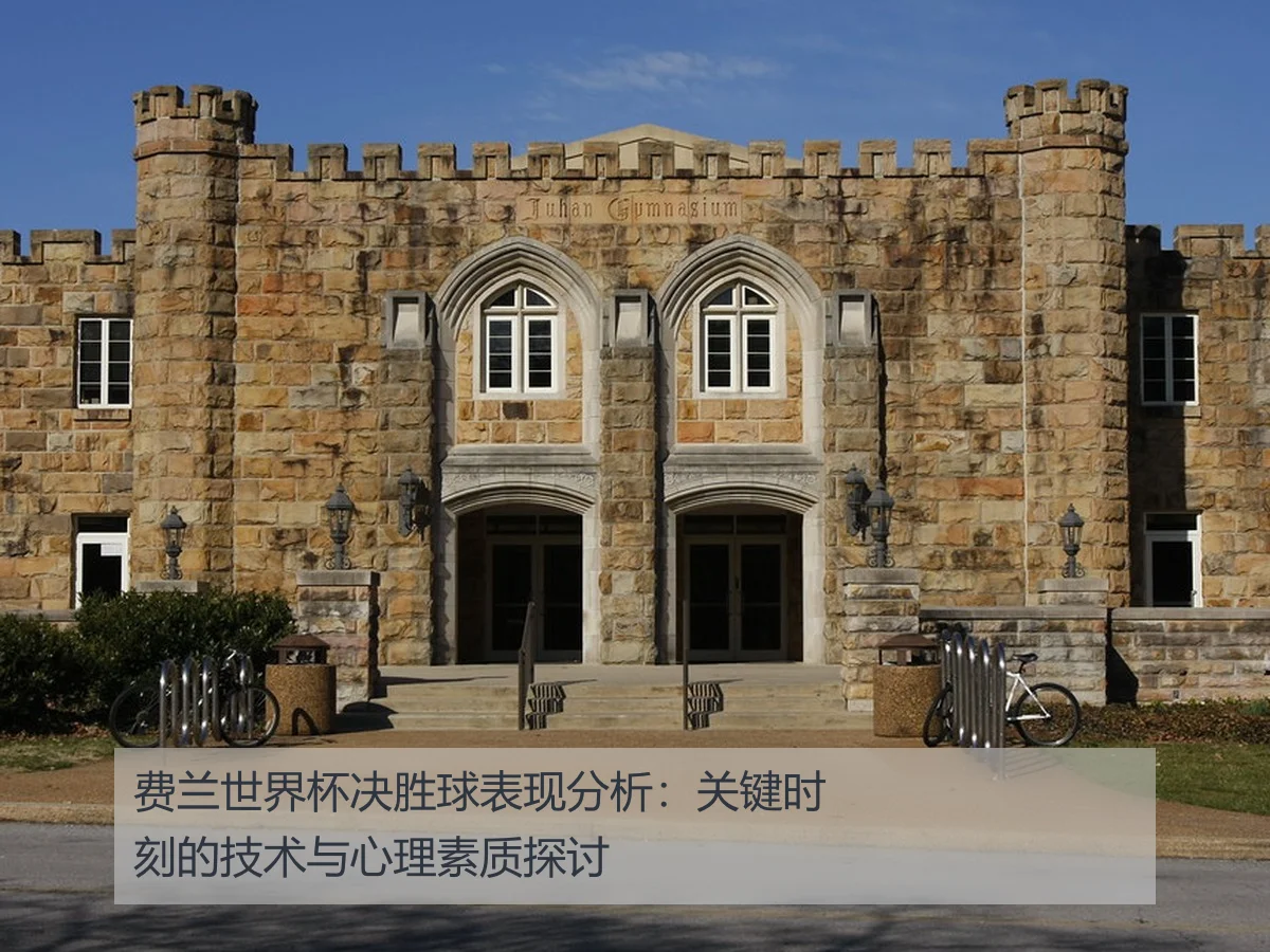 费兰世界杯决胜球表现分析：关键时刻的技术与心理素质探讨